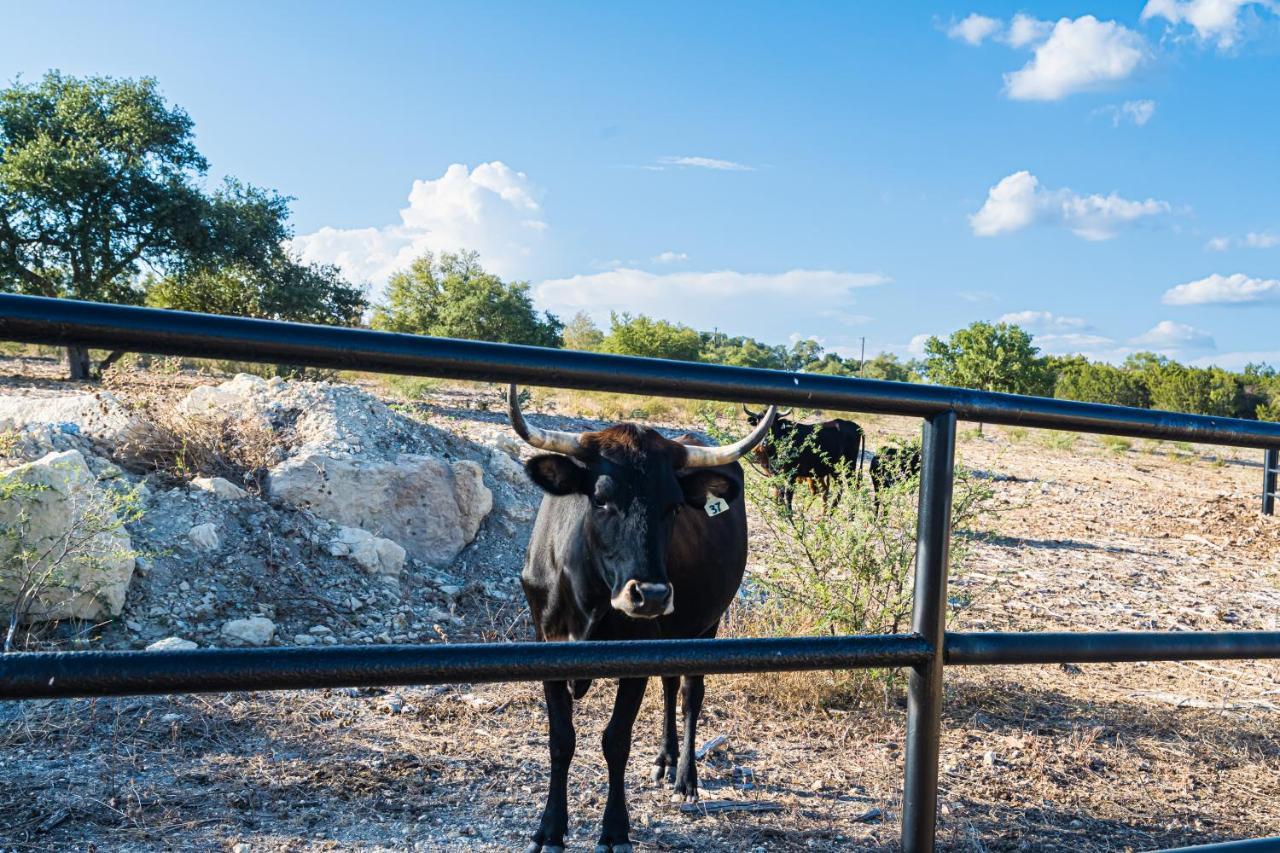 Gruene Daze Chalet - Stylish Aframe - Escape The Ordinary New Braunfels Εξωτερικό φωτογραφία